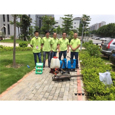 裝修白蟻治理-植美生物科技(在線咨詢)-東莞中堂白蟻治理