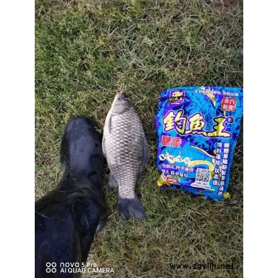 釣魚王巨草水果發(fā)酵餌-釣魚王漁具(圖)