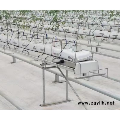 無土基質(zhì)栽培槽廠-無土基質(zhì)栽培槽-泓稷科技栽培槽