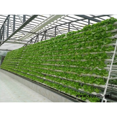 防蟲網公司-福州防蟲網-福州龍泰大棚搭建(查看)