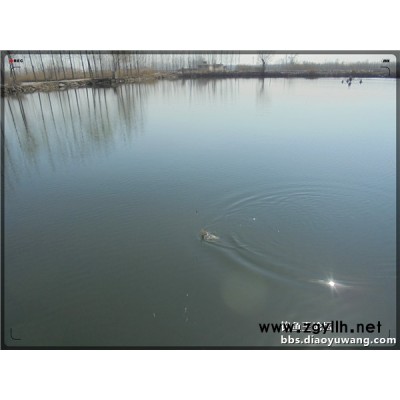 海竿打窩方法-湖北釣魚王漁具