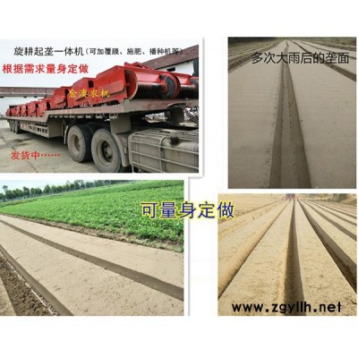 旋耕起壟一體機供應商-沙洋金澳農機有限公司