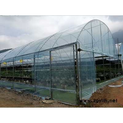 福建龍?zhí)┐笈锸┕?圖)-大棚廠家-寧德大棚