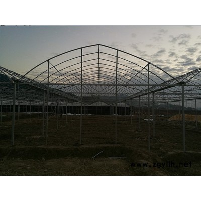 玻璃溫室大棚-南平大棚-福建龍?zhí)┐笈锸┕?查看)