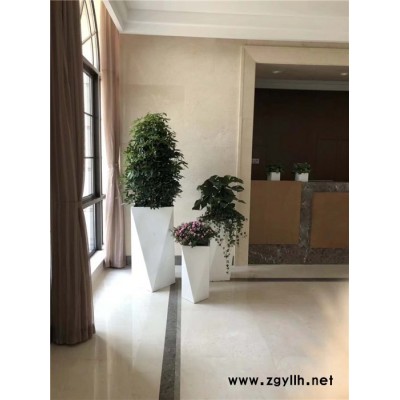 武漢綠植-雅淳租花-綠植租擺