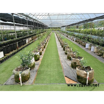 莆田防蟲網(wǎng)-福建龍?zhí)┐笈锸┕?防蟲網(wǎng)搭建