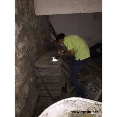 上門除白蟻電話-東莞虎門上門除白蟻-植美殺蟲滅鼠