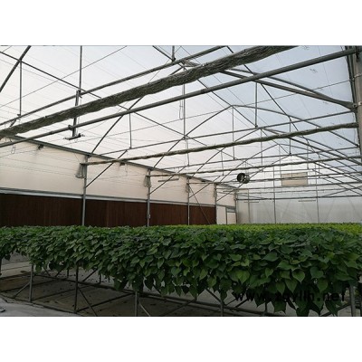 遮陽網工程-福州遮陽網-福州龍泰大棚搭建