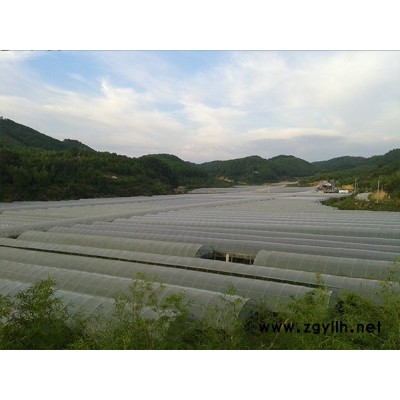 無土栽培搭建-龍巖無土栽培-福州龍泰大棚廠家(查看)