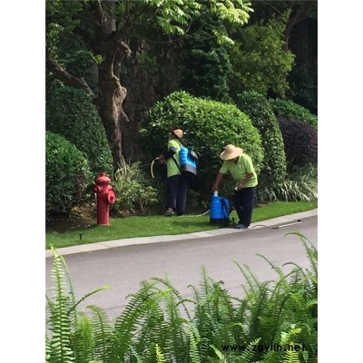 酒店殺蟲滅鼠服務-東莞虎門殺蟲滅鼠-植美生物科技(查看)