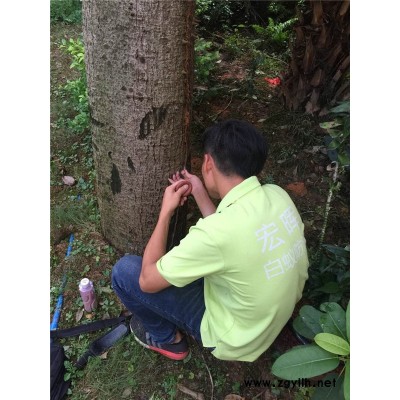 殺蟲公司怎么樣-東莞中堂殺蟲公司-植美生物科技