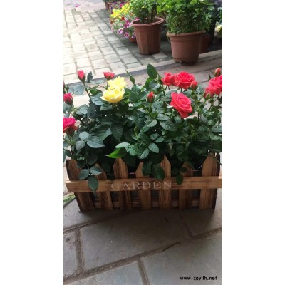 開業花籃價格-武漢開業花籃-美靜園藝花卉租擺設計(查看)