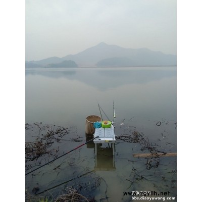 野釣打窩方法-湖北釣魚王漁具公司