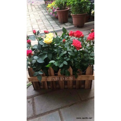 開業花籃預定-武昌開業花籃-美靜園藝花卉租擺設計(查看)