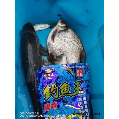 釣魚王粑粑餌-湖北釣魚王漁具(在線咨詢)