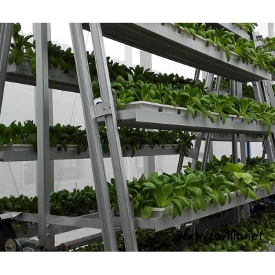 廣東A字水動力旋轉蔬菜種植塔廠哪家好