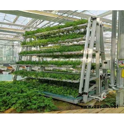 A字架種植塔哪里有「在線咨詢」