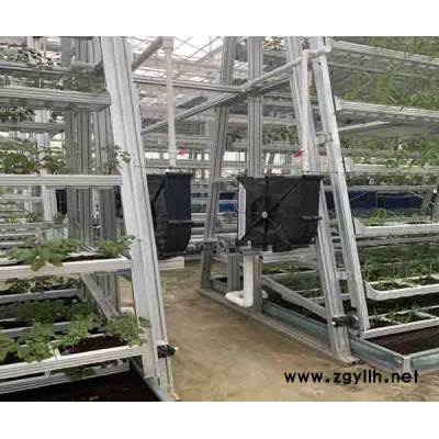 A字架立體栽培廠家“本信息長期有效”