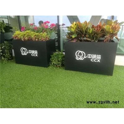 沌口租花-雅淳花卉(圖)