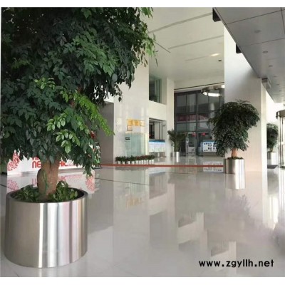 哪里有綠植出租-雅淳租花(圖)