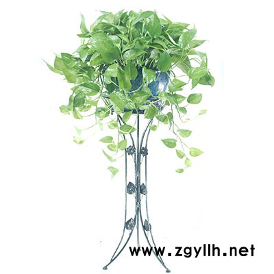 武漢綠植-武漢雅淳花卉-武漢植物出租