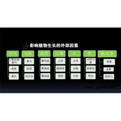 武漢綠植出售-武漢綠植-雅淳花卉出租