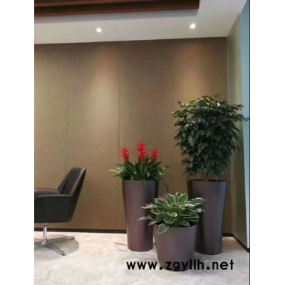 上海浦東新區鮮花批發