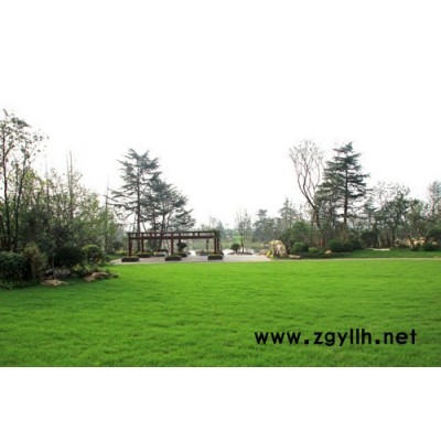 洪山公司綠化養護電話