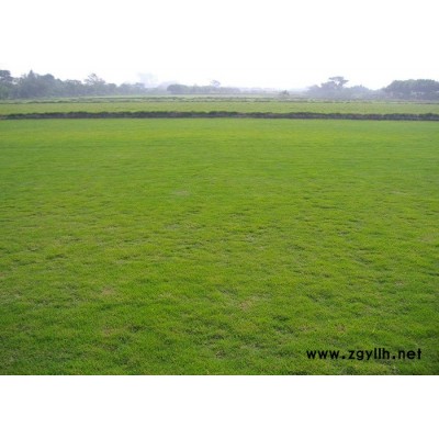 人工草坪基地-人工草坪-建勇真草坪基地質量好(查看)