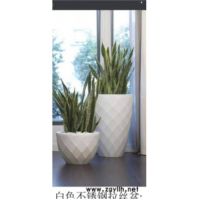 武漢綠植配送電話「多圖」