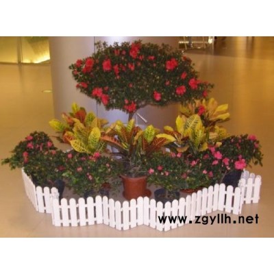 綠植花卉出租公司-東西湖花卉出租-武漢雅淳花卉