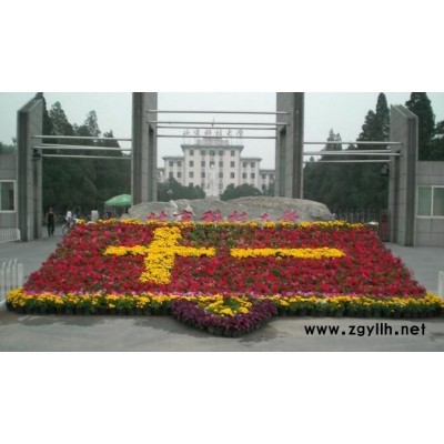 婚慶租花-南湖租花-雅淳花卉出租(查看)