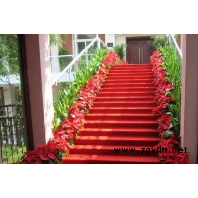 武漢花卉出租-雅淳花卉(圖)