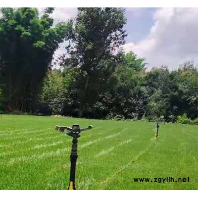 混播草坪多少錢一平米-安寧銘巖草坪種植園-玉溪混播草坪