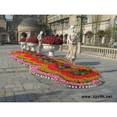 商務花卉出租-洪山花卉出租-雅淳花卉綠植租用