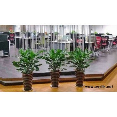 鮮花花束-鮮花-蔚森園林鮮花(查看)