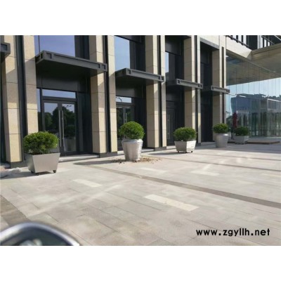 武漢綠植批發-雅淳綠植租擺