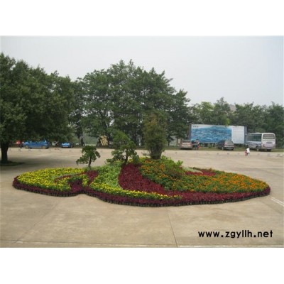 武漢花卉-花卉租擺價格-雅淳花卉(推薦商家)