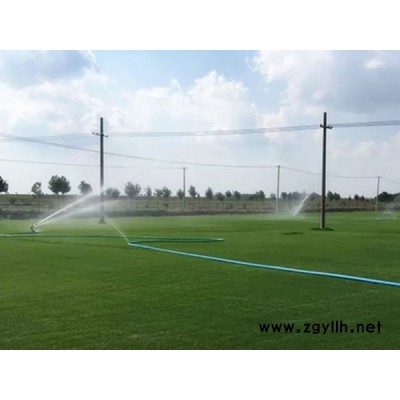 宣威帶泥土真草坪-昆明建勇真草坪批發-帶泥土真草坪公司