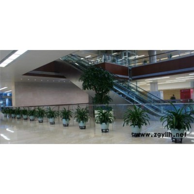 武漢綠植配送電話