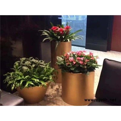 花卉擺租-武漢雅淳花卉-武漢花卉