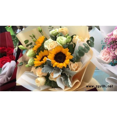 武漢花卉租賃-美靜園藝(推薦商家)