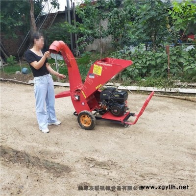 園林樹枝粉碎機(jī) 木片枝條破碎機(jī) 小型可移動式電動樹葉碎枝機(jī)價格2