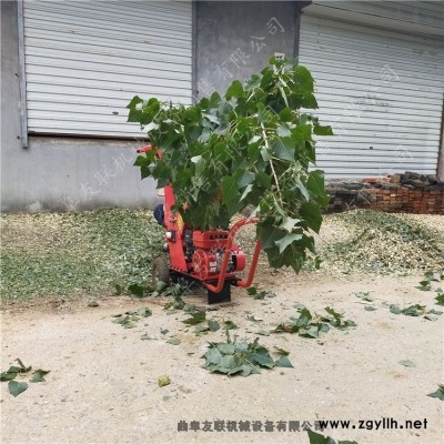 家用玉米秸稈粉碎機 小型柴油樹枝粉碎機 公路養(yǎng)護園林綠化碎枝機