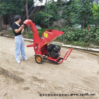 電動(dòng)低噪音樹杈削片機(jī) 環(huán)保型植物垃圾粉碎處理機(jī) 干鮮枝條粉碎機(jī)廠家型號(hào)齊全1