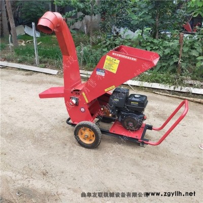 電動(dòng)小型樹枝粉碎機(jī) 粉碎手推式校園修剪樹枝樹葉打碎機(jī) 樹杈削片機(jī)1