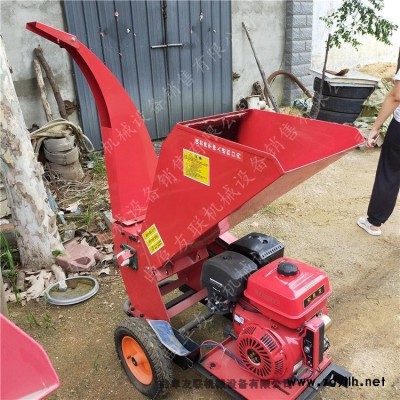 干鮮枝條樹杈打碎機 移動式修剪廢棄果木樹枝粉碎機 暢銷景區道路養護碎枝機