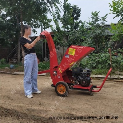 林業(yè)粗細(xì)枝條粉碎機(jī) 廠家直銷果樹枝粉碎機(jī) 樹枝樹叉粉碎機(jī)
