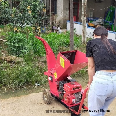 河北熱銷園林修剪樹杈粉碎機(jī) 干鮮枝葉粉碎還田機(jī) 葡萄枝大馬力碎枝機(jī)視頻3