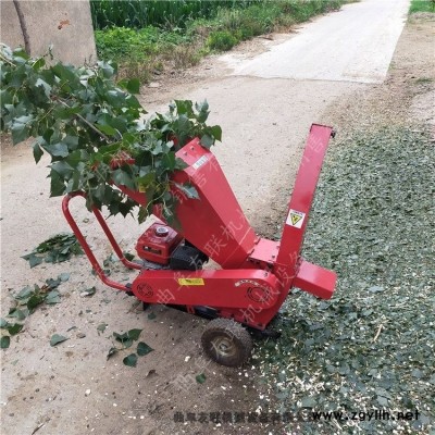 干濕樹葉枝條破碎機 調節樹枝樹杈打碎機 苗圃綠化殘枝破碎機3